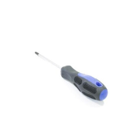 SCREWDRIVER TORX T25 100mm